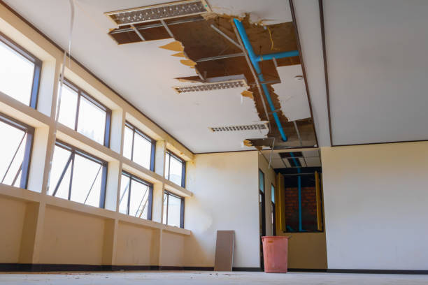 Best Carpet water damage restoration  in Delcambre, LA