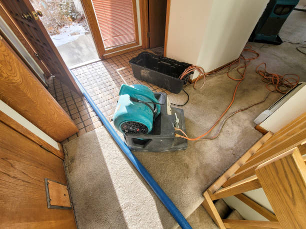 Best Professional water damage repair  in Delcambre, LA