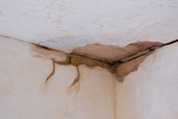 Best Water damage restoration near me  in Delcambre, LA