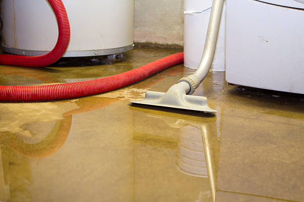 Best Water damage restoration process  in Delcambre, LA