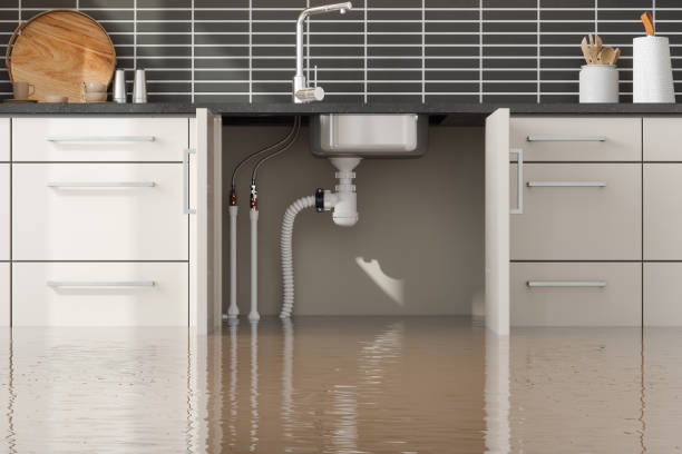 Best 24-hour water damage restoration  in Delcambre, LA