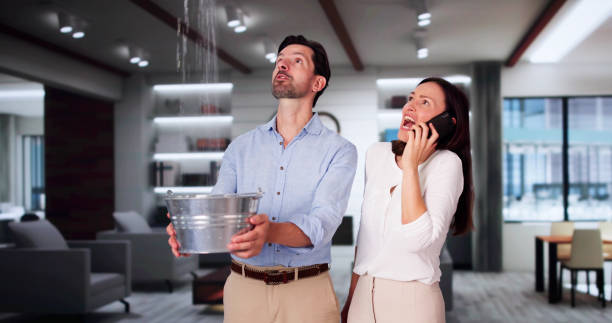 Best Professional water damage repair  in Delcambre, LA